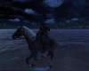 swimming horse (unfortunatly a bug)